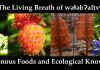 Living Breath of welebaltx Indigenous Foods Symposium banner