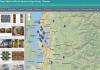 Sample shot of new website Sample shot of new website identifying Coast Salish art in King County